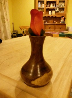 Bud Vase of Laburnum