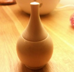 Lidded Pot in Holly