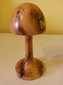 Yew Mushroom