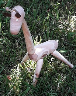 Jerry the jewel eyed giraffe