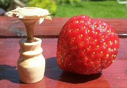 Minature vase and flower