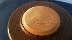 Patterning On Holly Insert